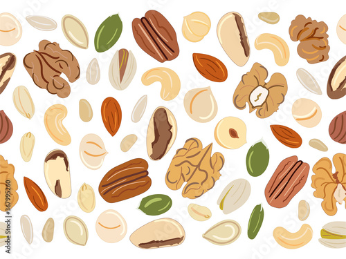 Seamless pattern of nuts and seeds. Kitchen, cooking print.