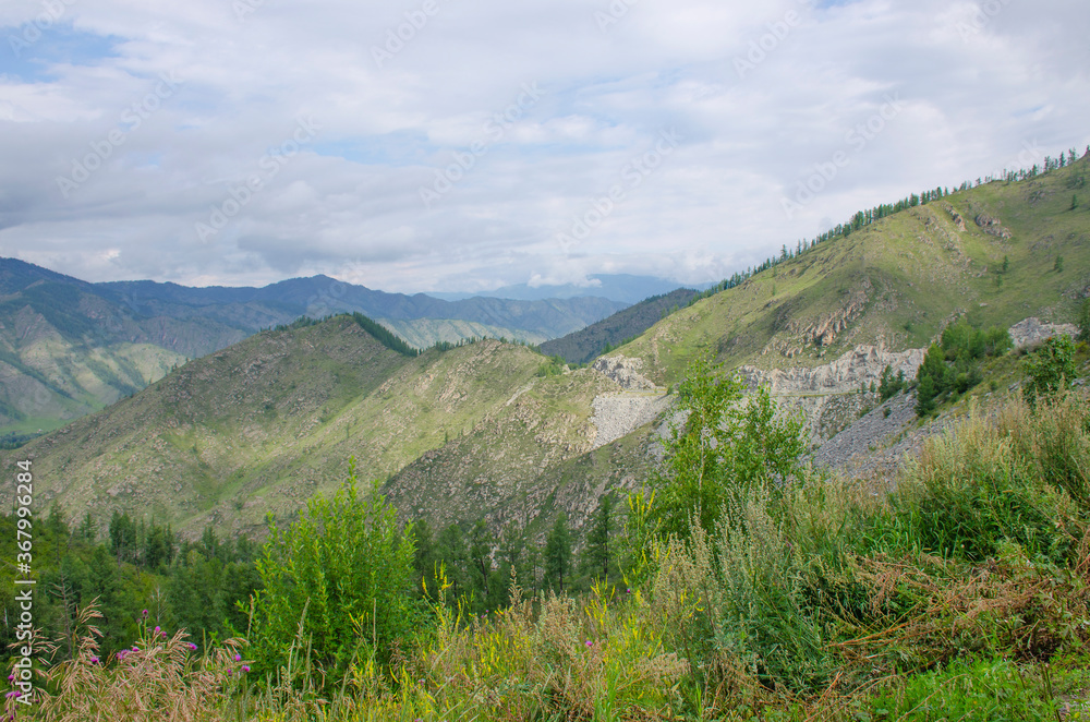 Landscape of Altai mountains in Russia with forest and plants
Landscape of Altai mountains in Russia with forest and plants