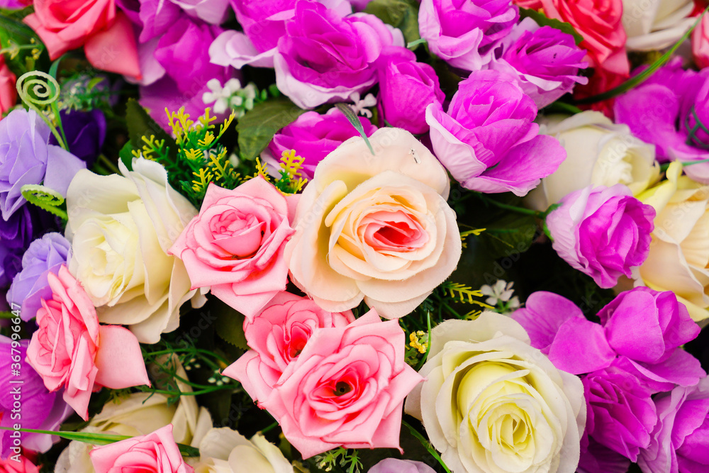 Background of many color roses. Background of many color roses.