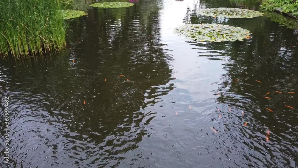 Beautiful view in Hamburg in a park called Plants und Blomen Germany Europe Beautiful view in Hamburg in a park called Plants und Blomen Germany Europe