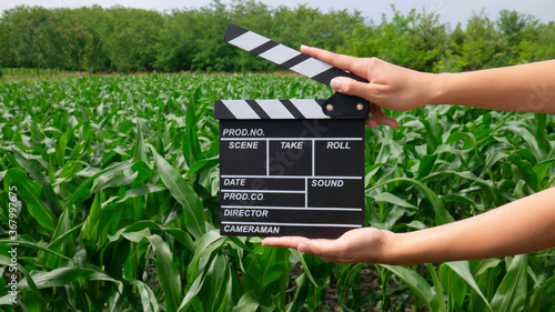 Female hands holding movie clapper in a corn field.
