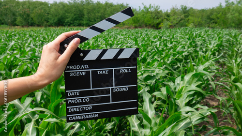 Female hand holding wooden movie clapper in a corn field.