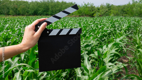 Hand holding empty black film making clapperboard in a corn field.