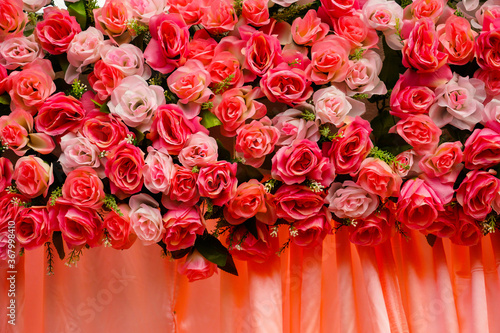 Roses backdrop decorated for wedding.