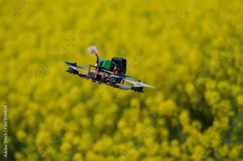 Racing drone flying over a field of yellow oil flowers