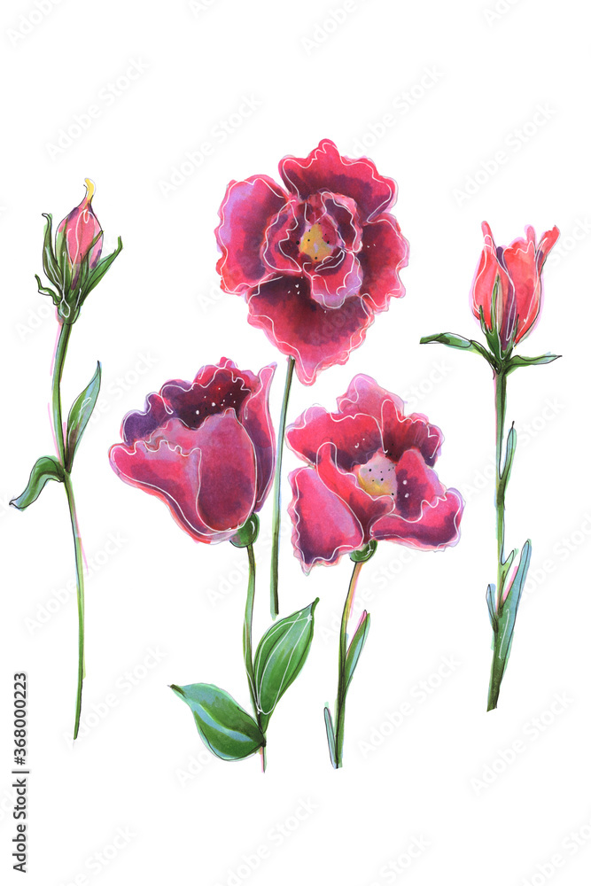 flower purple pink tenderness wedding eustoma leucandendron illustration flower purple pink tenderness wedding eustoma leucandendron illustration