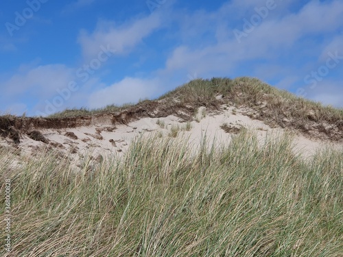 Dünenlandschaft an der Nordsee