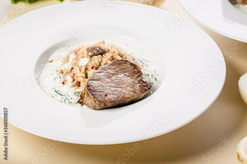 Close-up beef with rice in a creamy mushroom sauce.