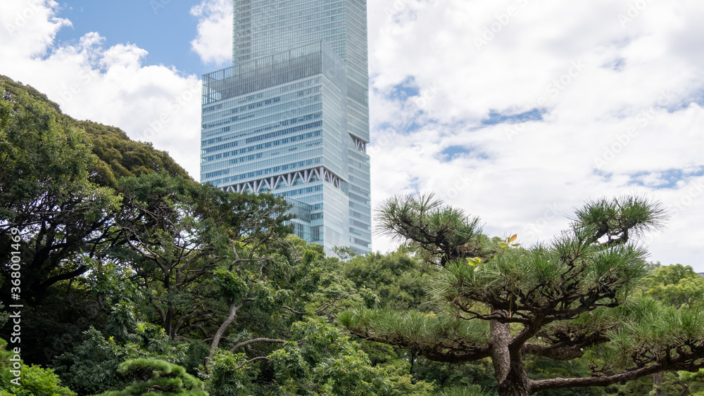 Obraz premium 庭園からのあべのハルカス