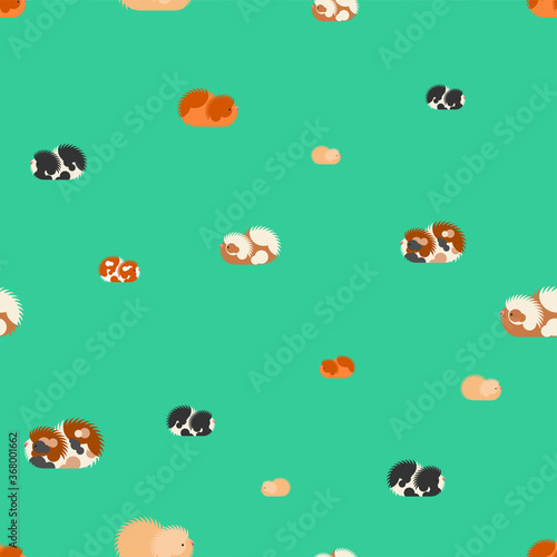 Cavy pattern seamless. guinea pig background. Baby fabric texture