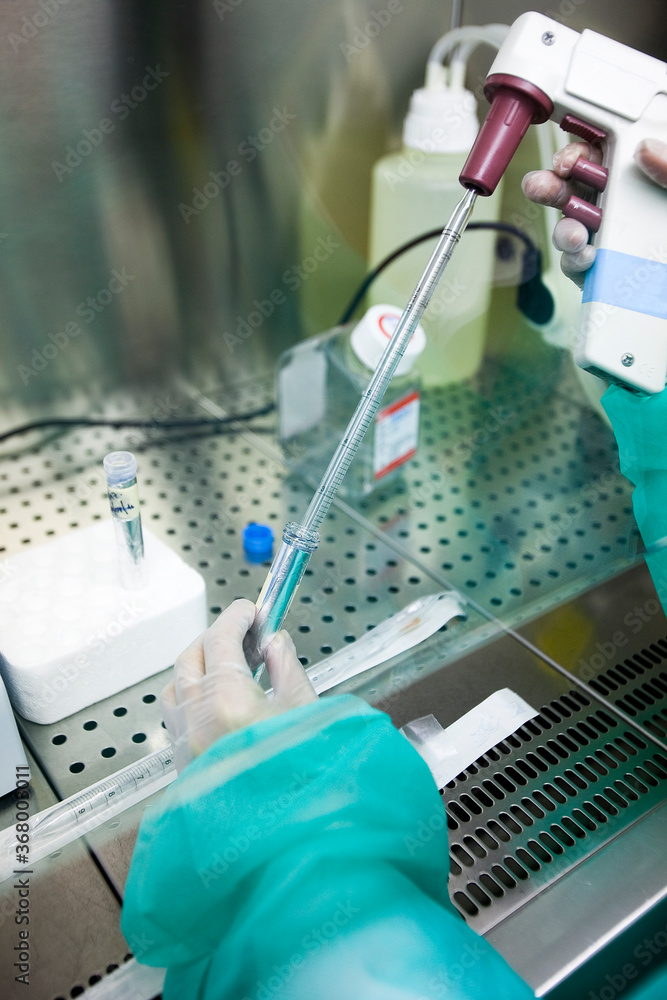Scientific manipulating a test tube in a laboratory Scientific manipulating a test tube in a laboratory