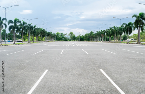 Wide empty asphalt parking lot background with white painted lines marked lens, outdoor empty space parking lot with palm trees