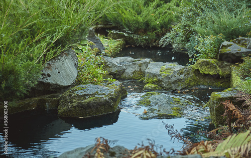 Small pond, surrounded by mossy rocks