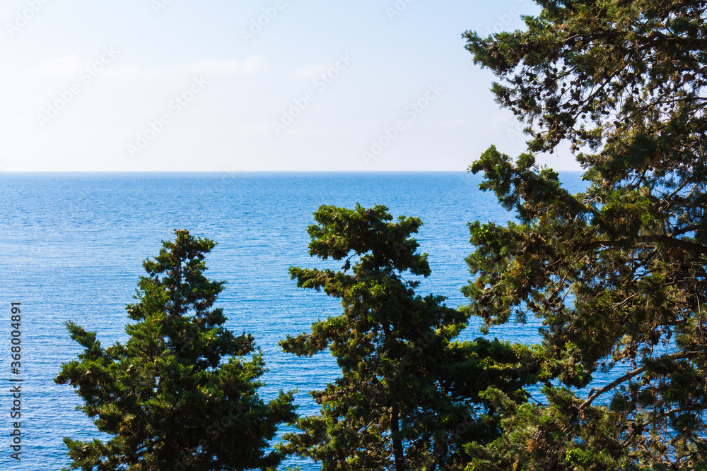 Sea and pines.Healing pine forests and fresh sea air. Blue and green colors. Sea and pines.Healing pine forests and fresh sea air. Blue and green colors.