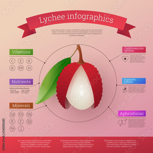 Lychee fruit infographics calories, vitamins and minerals. Healthy facts value nutritional information. Fresh ripe exotic tropical fruit benefits. Healthy diet vector illustration