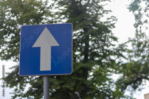 Obraz na plátně One-way traffic sign in the city on the background of trees