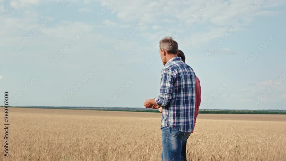 Old man father and his son walking through the wheat field they have a discussing about the future plan about the agriculture Old man father and his son walking through the wheat field they have a discussing about the future plan about the agriculture