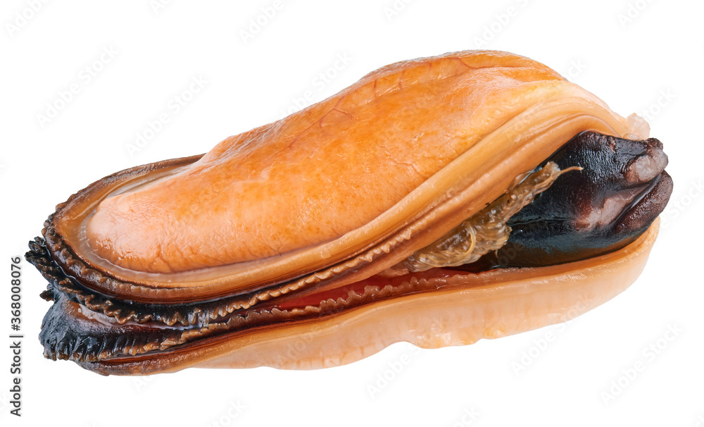 Mussel without shell isolated on white background Mussel without shell isolated on white background