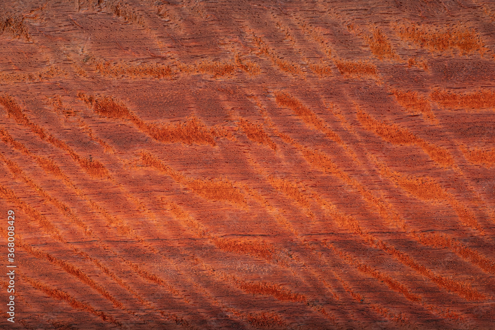 Naklejka premium Burma padauk wood has tiger stripe or curly stripe grain
