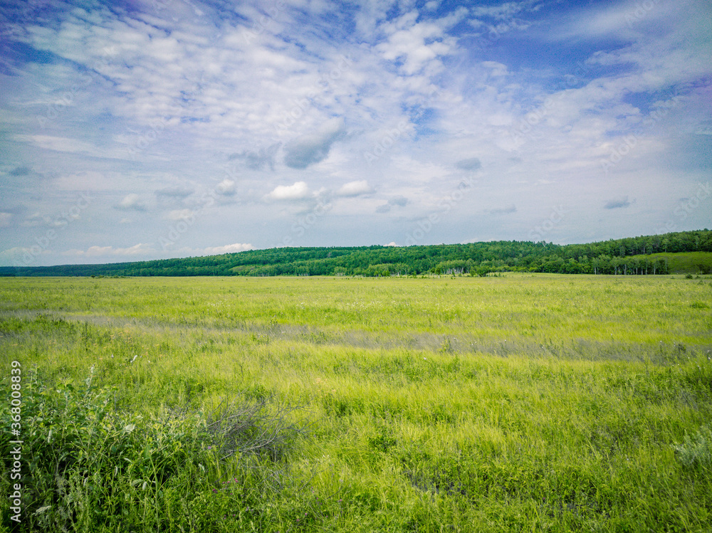 Obraz premium A beautiful bright green field and a beautiful landscape.