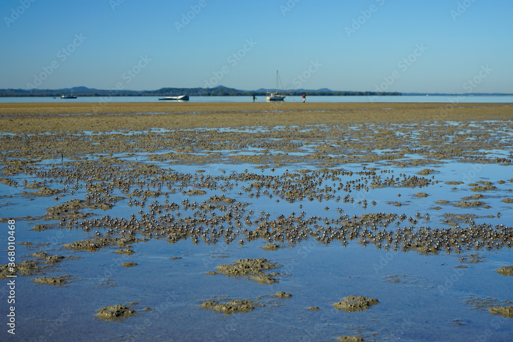 View over low tide sand flats with an army of soldier crabs in the foreground, to boats moored in the bay, and distant islands. Victoria Point,  Queensland, Australia.