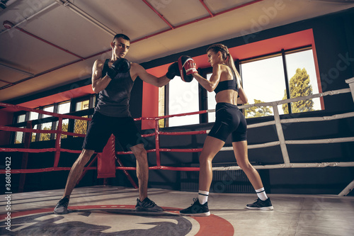 Beautiful young sporty couple workout in gym together. Caucasian man training with female trainer. Concept of sport, activity, healthy lifestyle, strength and power. Working out, boxing together.
