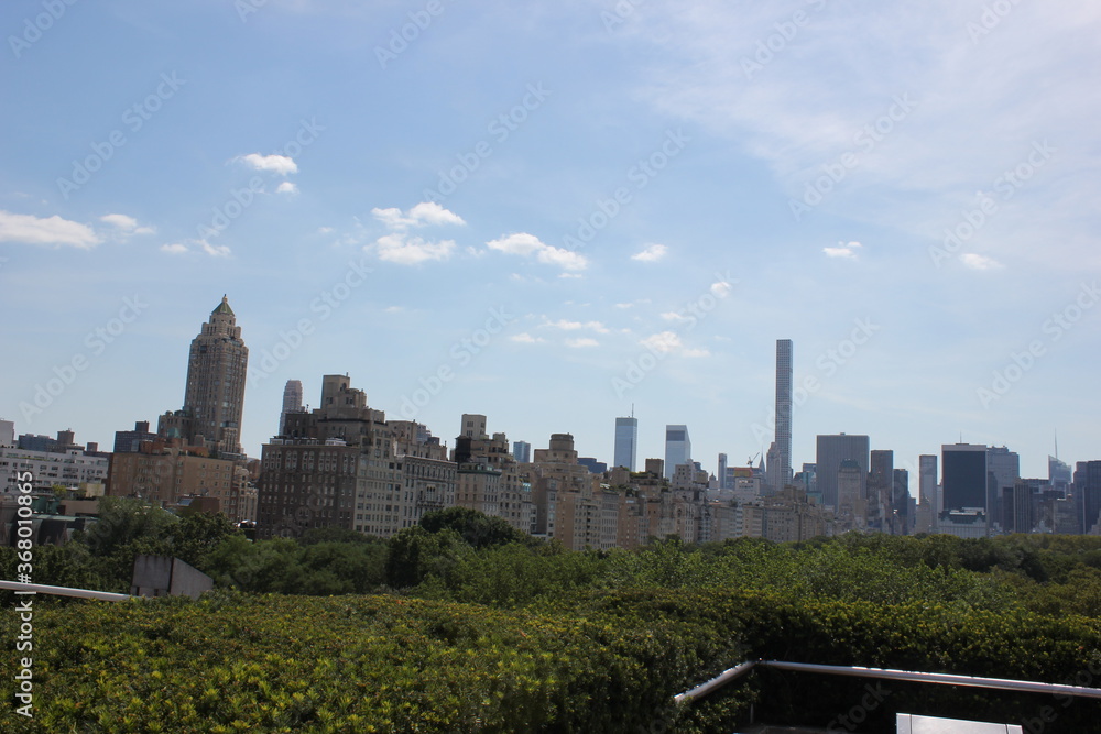 garden with new york in the background garden with new york in the background