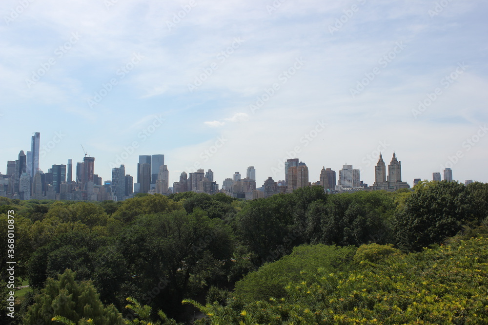 Fototapeta premium garden with new york in the background 