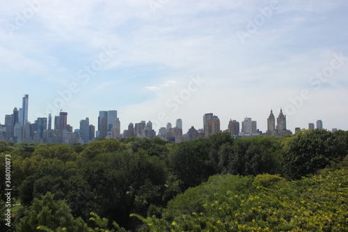 garden with new york in the background 