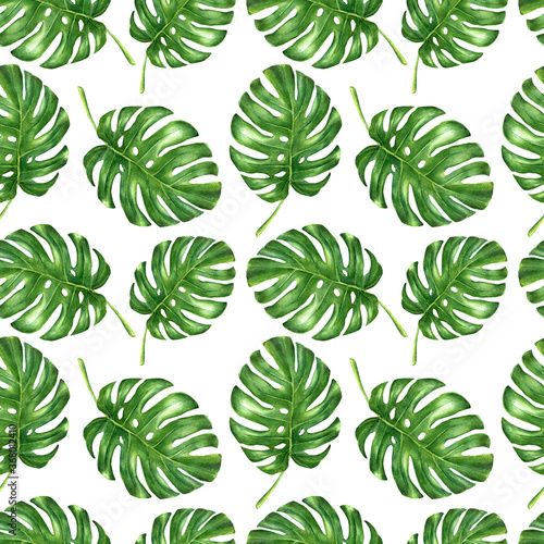 Watercolor monstera leaves hand drawn seamless  pattern.