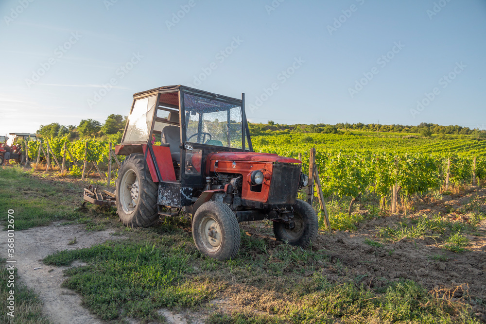 tractor in vineyards on summer day with blue sky tractor in vineyards on summer day with blue sky