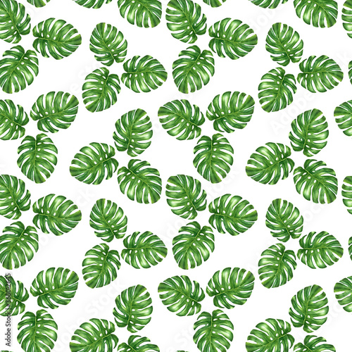 Watercolor monstera leaves hand drawn seamless pattern. © Volha