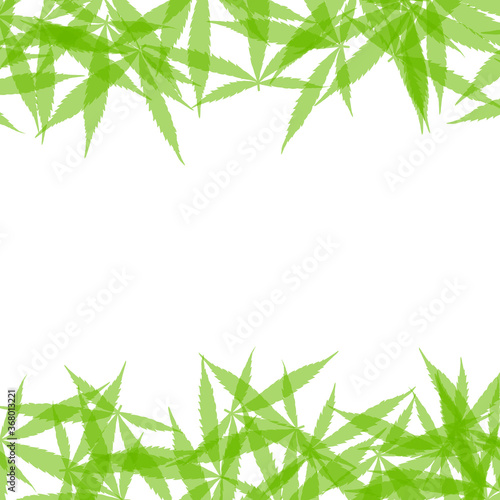 Fototapeta Naklejka Na Ścianę i Meble -  Frame formed with hemp leaves isolated on white background. Green cannabis leaves background. Drug marijuana herb leaves shapes with copyspace for text.