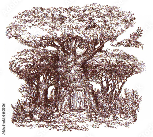 A tree from a fairy tale. Forest dweller's house. Ink drawing.