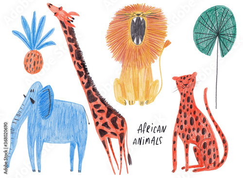 Photography Set Of Isolated African Animals.