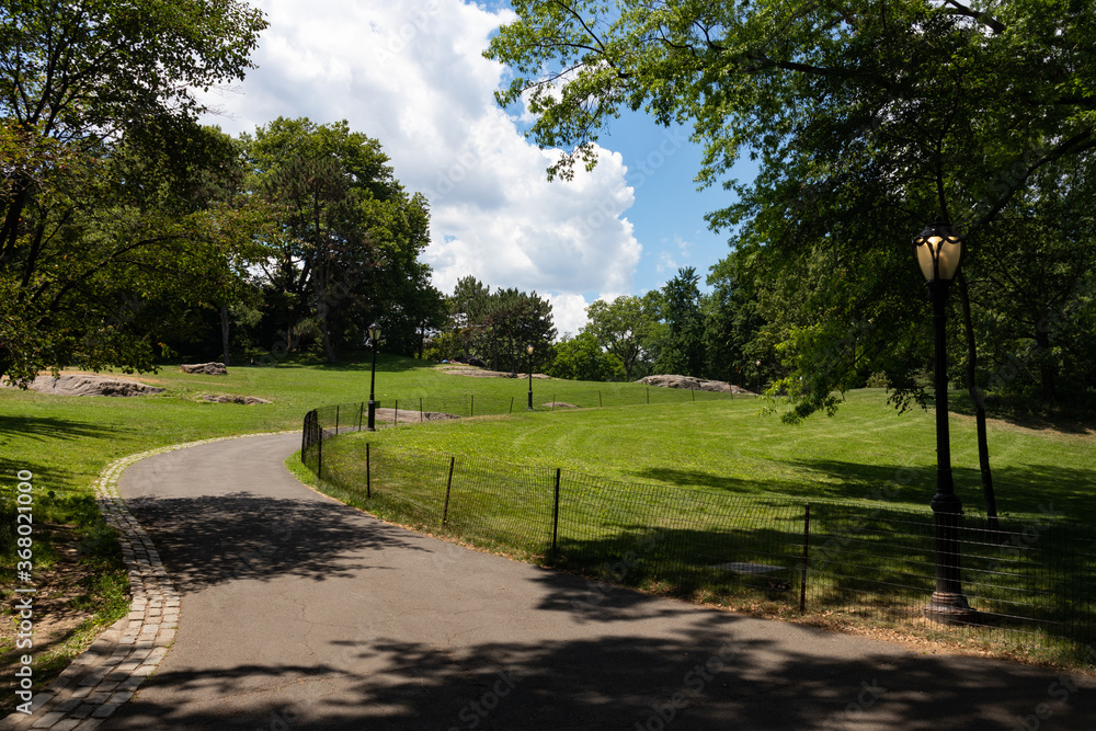 Empty Curving Path on a Hill at Central Park during Summer in New York City on a Beautiful Day