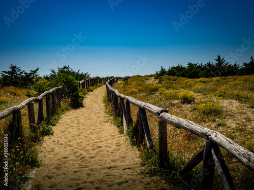 Fototapeta Naklejka Na Ścianę i Meble -  Dune path on the beach in Italy