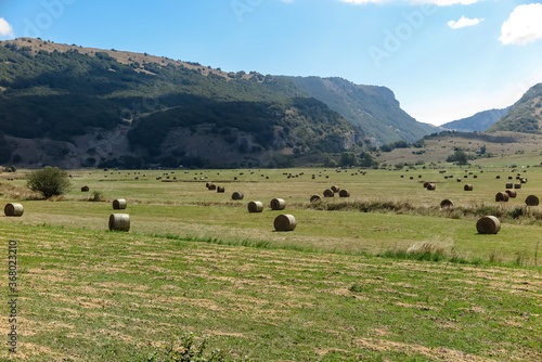 Several rolls of straw distributed in a large field, with mountain valley in the background, commune of Ovindoli, Abruzzo region, province of L´aquila, Italy