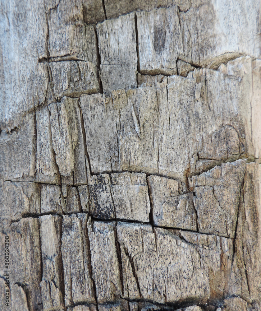 texture of wood cracks and splits texture of wood cracks and splits