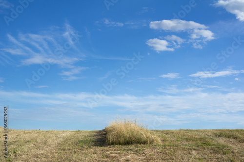 Minimalist landscape - grass and grassland, blue sky as large copy space. © M-SUR