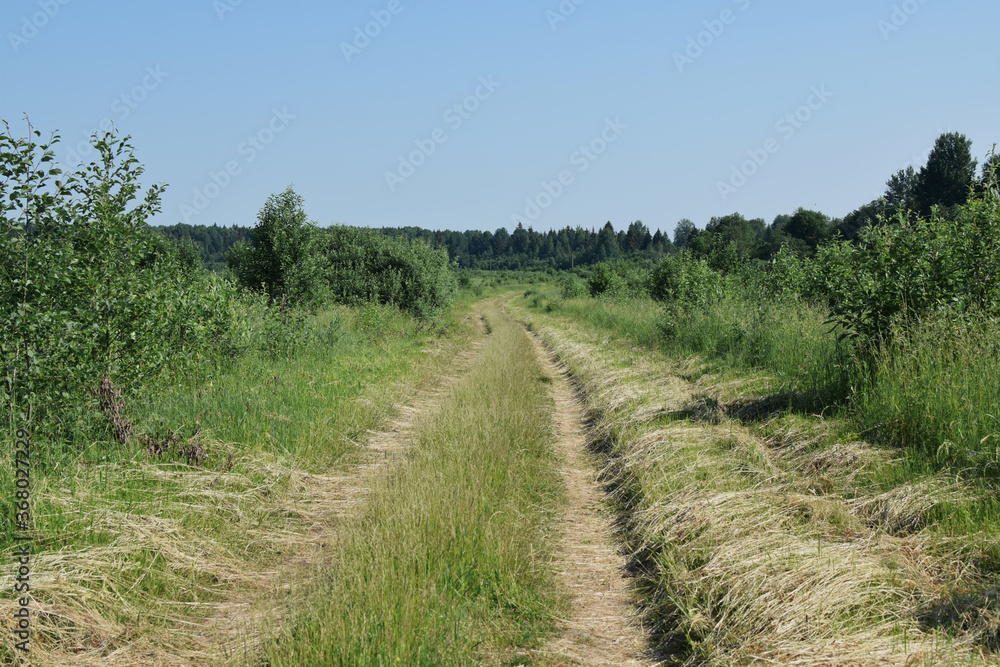 rural road in the field