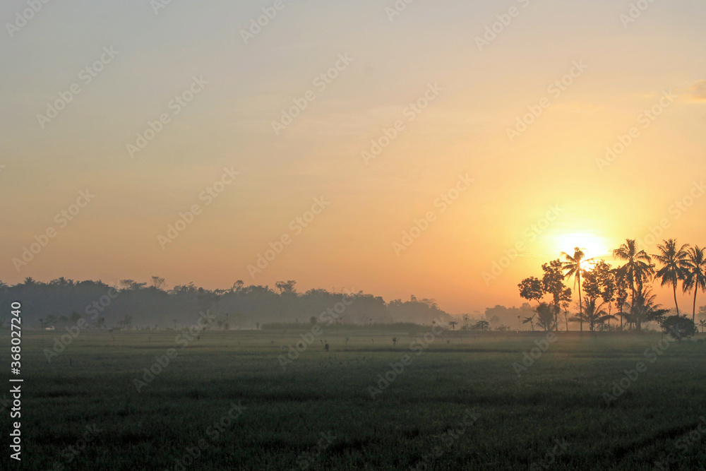 Fototapeta premium the sun rises, in the morning, shines, in the sunny sky, above the rice fields, between the trees, mountains, valleys, hills, morning mist