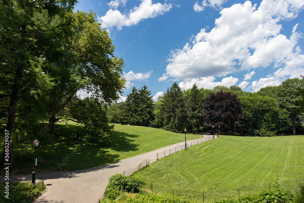 Empty Path with Green Grass at Central Park during Summer in New York City on a Beautiful Day