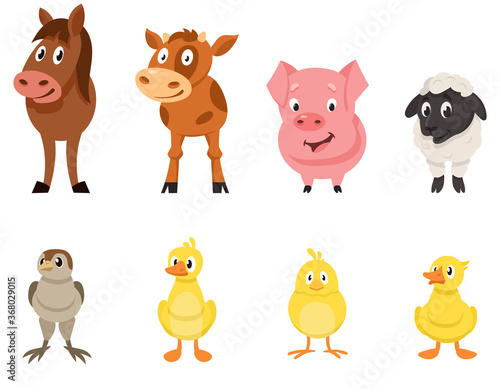 Set of farm animals front view. Young characters in cartoon style.