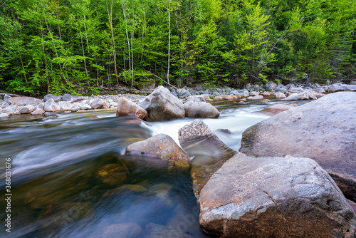 stream in the forest photo