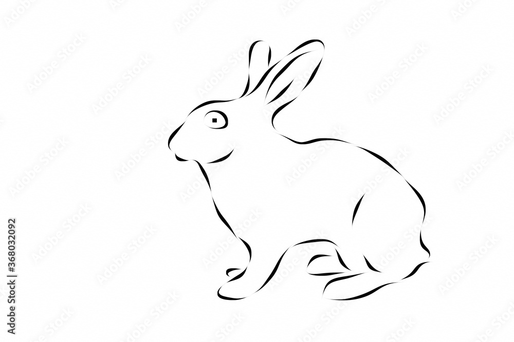 Rabbit beautiful illustration on plain white background Rabbit beautiful illustration on plain white background