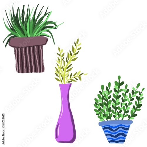 Flower in a pot with an ornament with green leaves of different sizes for postcards textiles design of articles websites
