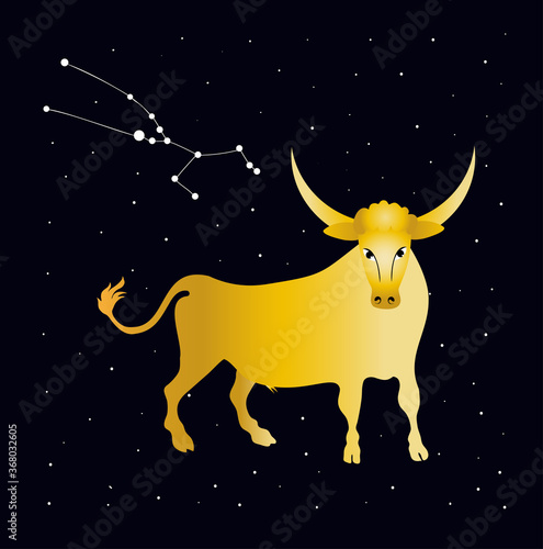 Golden bull and starry sky. Constellation taurus. Zodiac.
