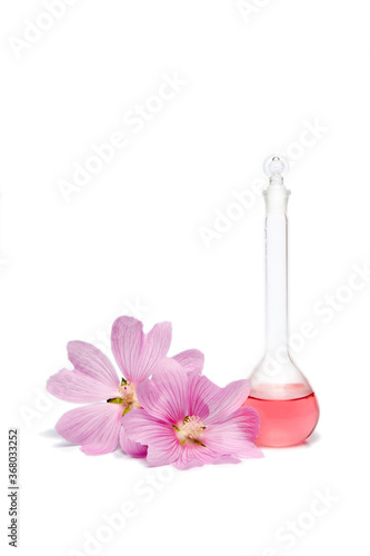 Beauty product in a bottle natural cosmetics, herbal organic extract from flower petals. Scientific experiment. Hand cosmetics made of pink flowers