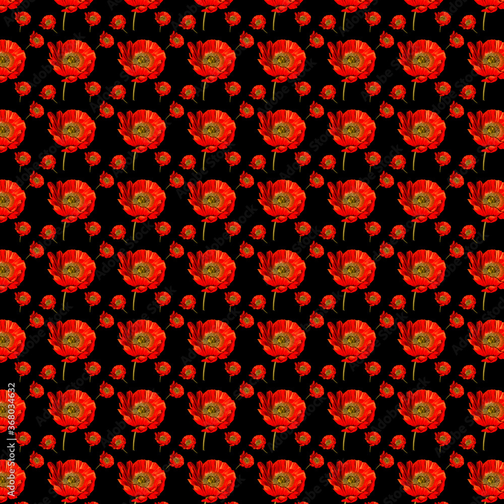 Red poppy pattern on black 12x12 design element for floral backgrounds.